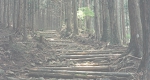 2012.jpg