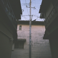 t0009.jpg