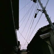 t0007.jpg