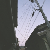 t0007.jpg