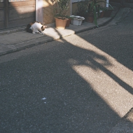 t0030.jpg