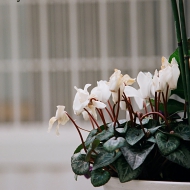 t0038.jpg
